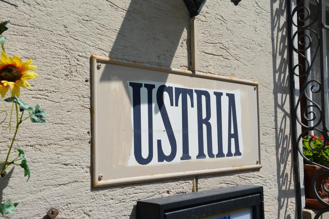 Bed and Breakfast Ustria Crusch Alva Tavanasa Esterno foto